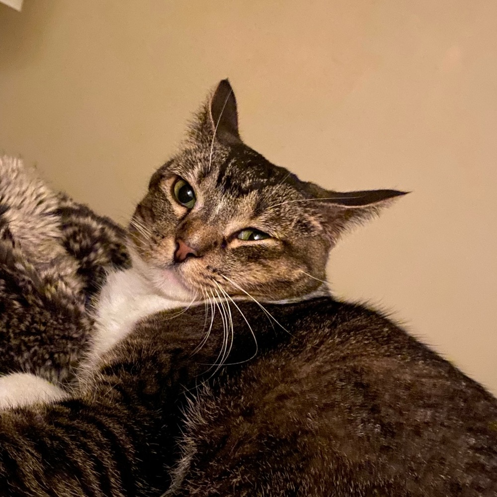 Meet your Posher, Megan